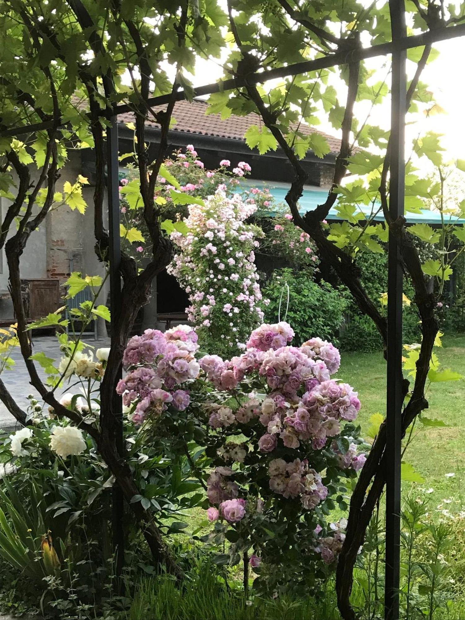 B&B Cascina Marie Bricherasio ภายนอก รูปภาพ