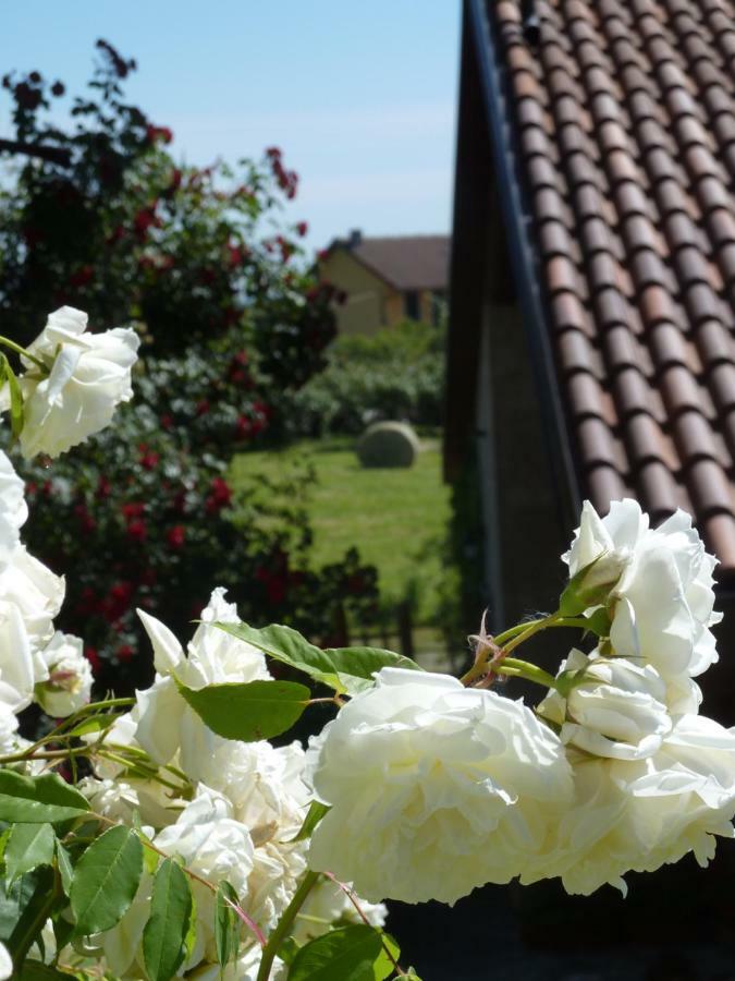 B&B Cascina Marie Bricherasio ภายนอก รูปภาพ