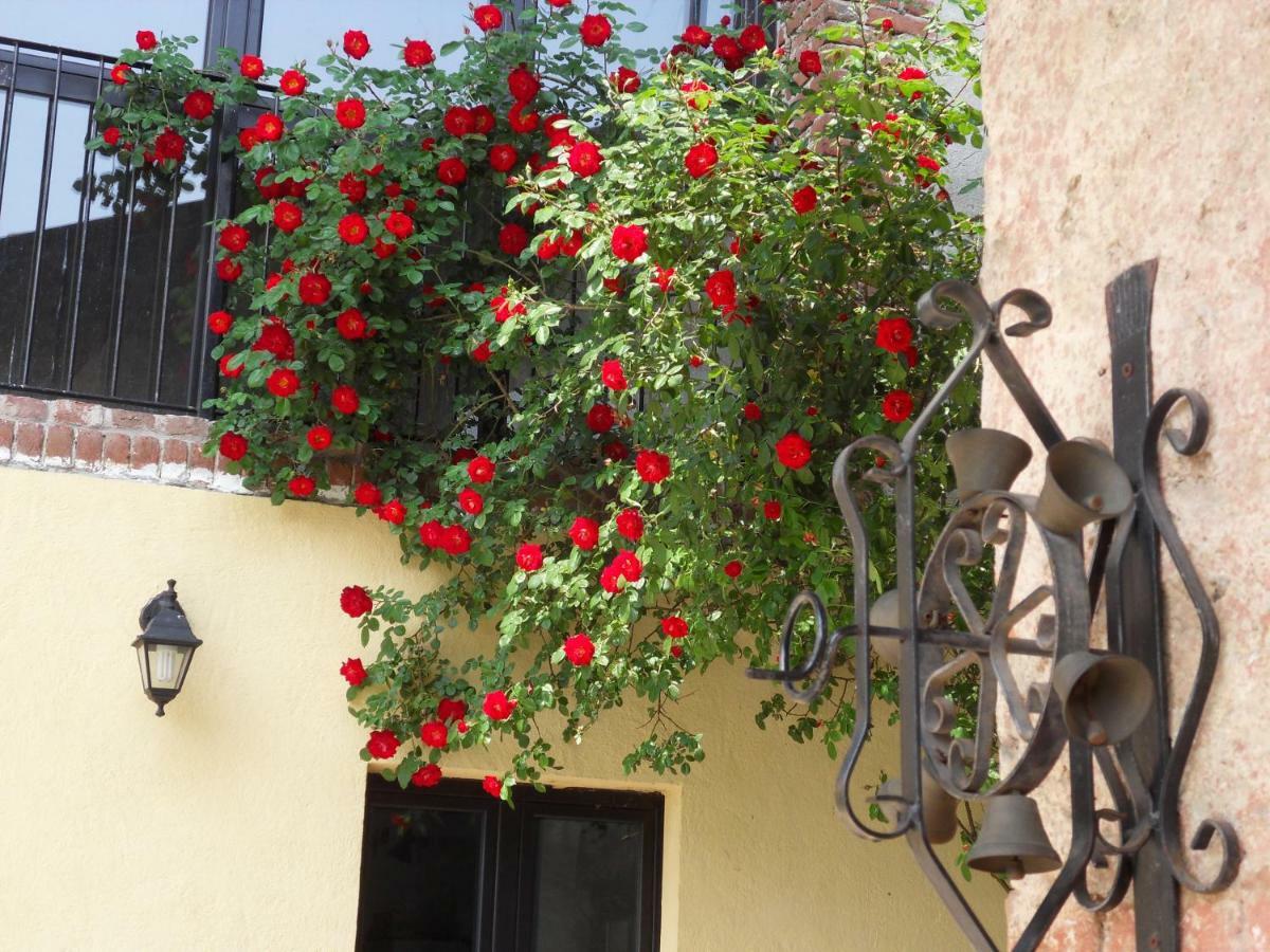 B&B Cascina Marie Bricherasio ภายนอก รูปภาพ